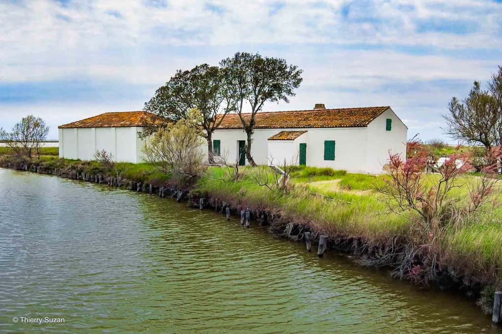 Dans le delta du Pô, les pêcheurs apprennent à leurs enfants les gestes traditionnels de la pêche à la palourde. Ce savoir-faire se transmet de génération en génération, préservant ainsi un héritage précieux. Maison de pêcheur, Delta du Pô © Thierry Suzan – Tous droits réservés